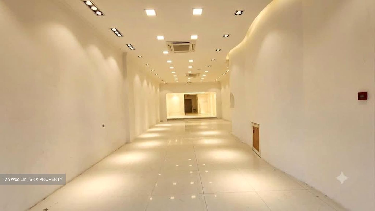 The Amara Hotel (D2), Shop House #605898091